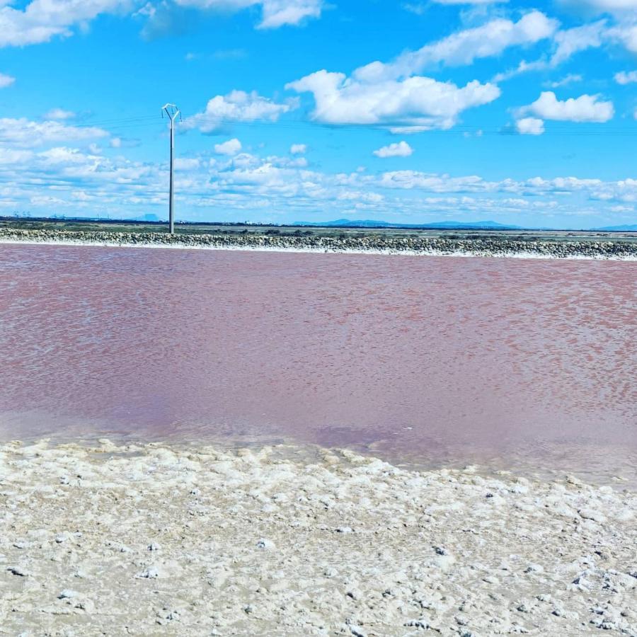 Appartement Au Coeur Des Rizieres Salin-de-Giraud Kültér fotó