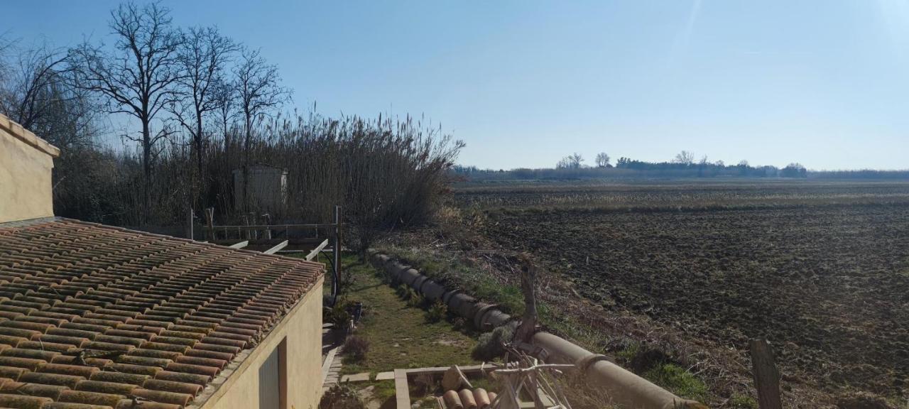 Appartement Au Coeur Des Rizieres Salin-de-Giraud Kültér fotó